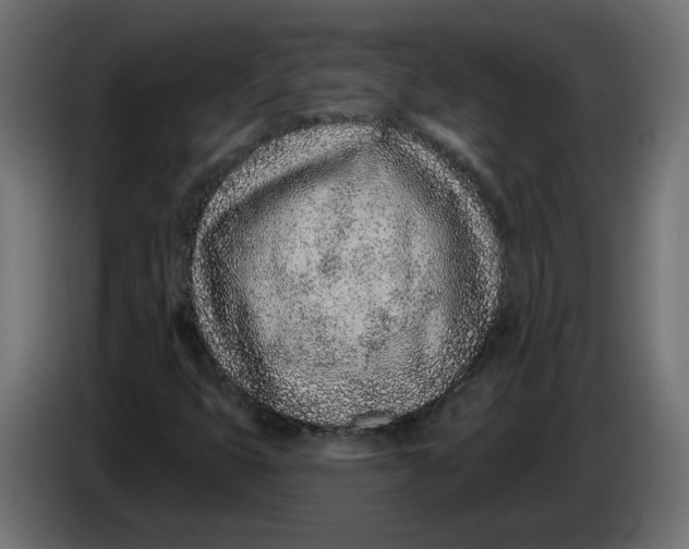 X0000086101399200704132137