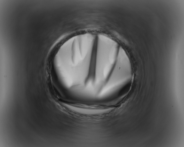 X0000086101400200704132137
