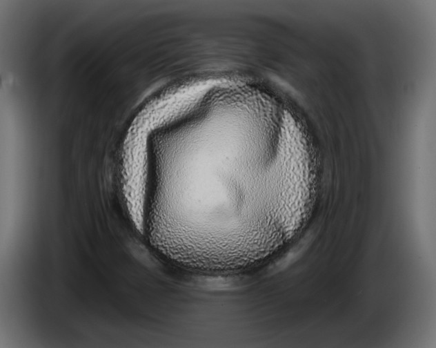 X0000086101401200704132137
