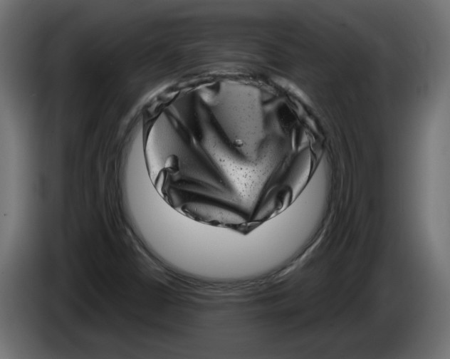 X0000086101402200704132137