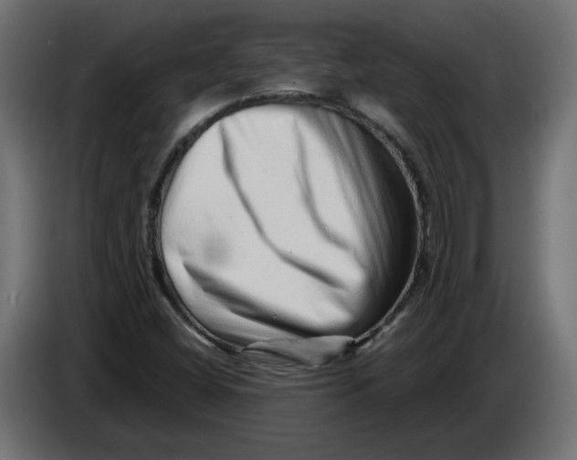 X0000086101404200704132137