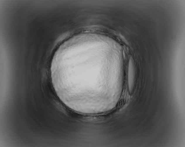 X0000086101405200704132137