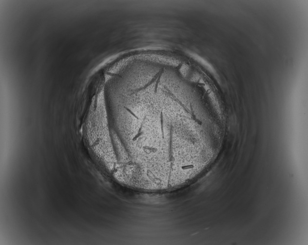 X0000086101407200704132137