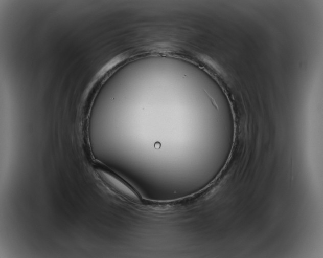 X0000086101410200704132137