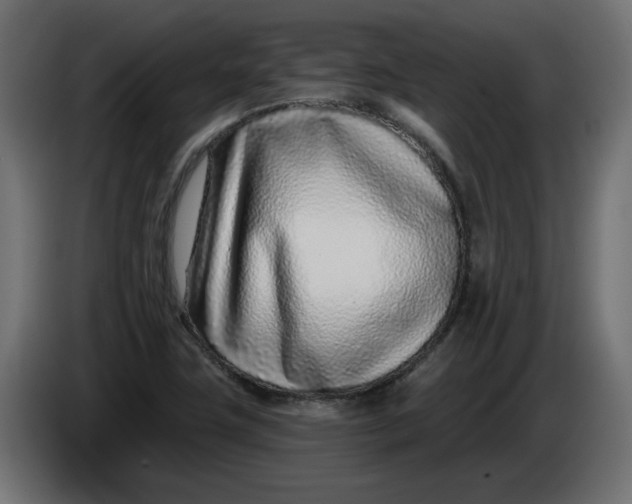 X0000086101411200704132137