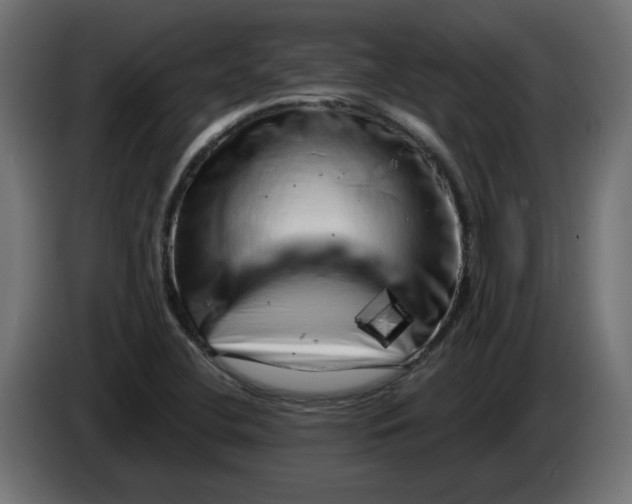 X0000086101412200704132137