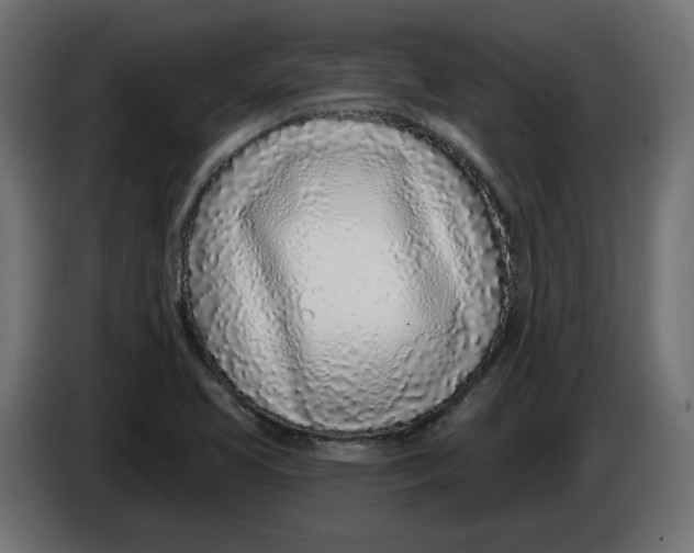 X0000086101413200704132137