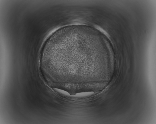 X0000086101415200704132137