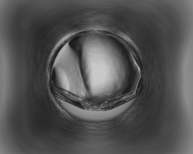 X0000086101416200704132137