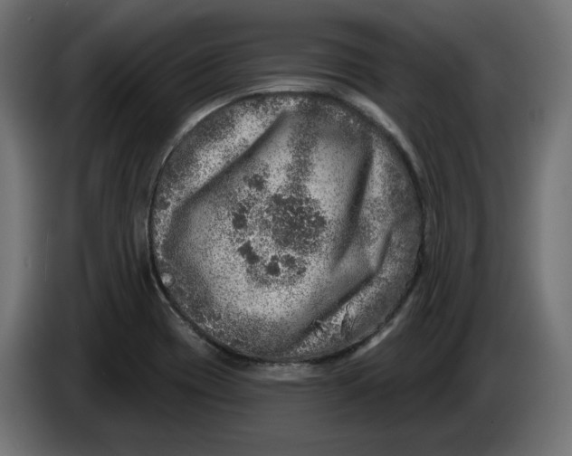X0000086101417200704132137