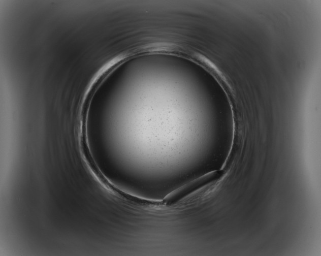 X0000086101418200704132137