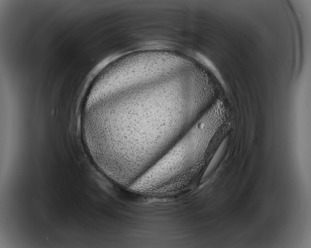 X0000086101419200704132137