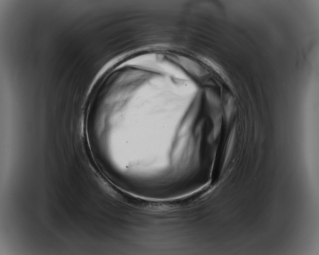 X0000086101420200704132137