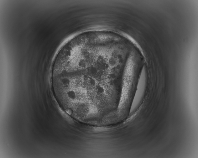 X0000086101421200704132137
