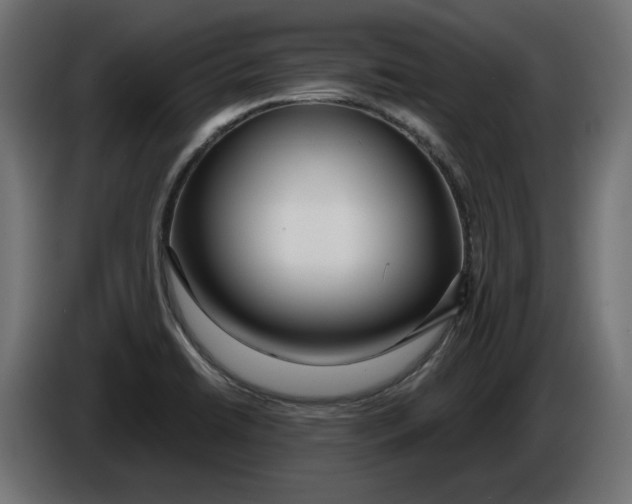 X0000086101422200704132137
