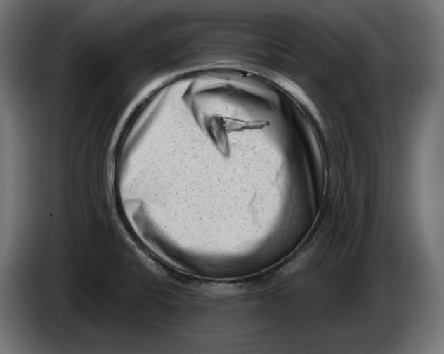 X0000086101424200704132137