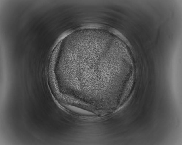 X0000086101425200704132137