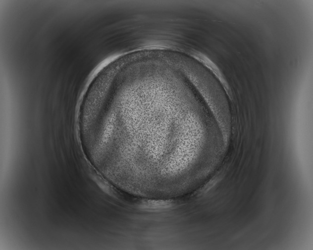 X0000086101427200704132137