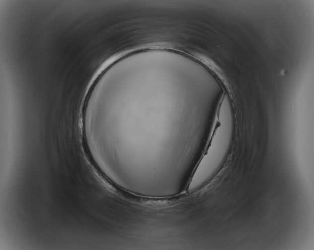 X0000086101428200704132137