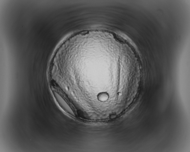 X0000086101429200704132137