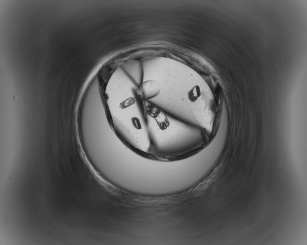 X0000086101430200704132137