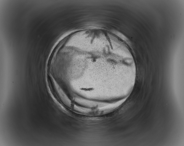 X0000086101431200704132137