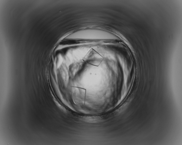 X0000086101433200704132137