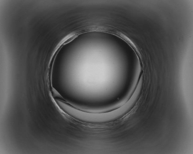 X0000086101434200704132137