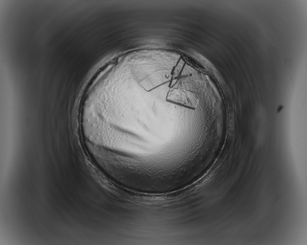X0000086101435200704132137