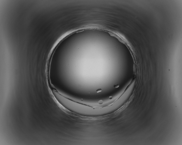 X0000086101438200704132137