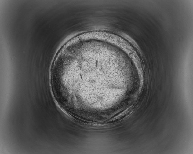 X0000086101439200704132138