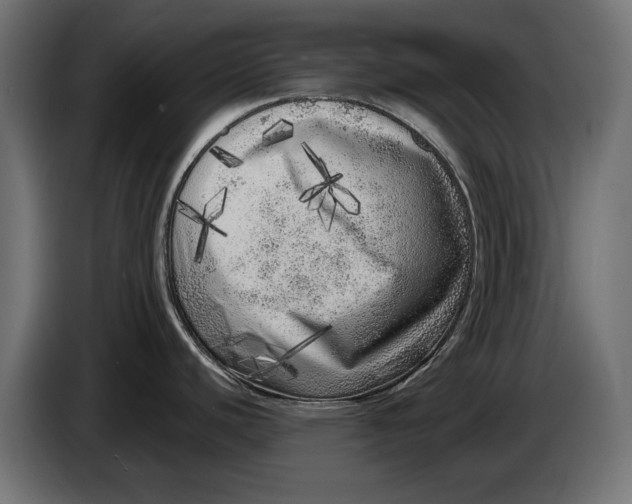 X0000086101440200704132138