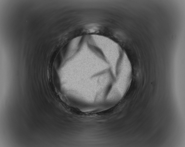 X0000086101442200704132137
