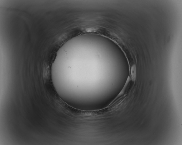 X0000086101443200704132137