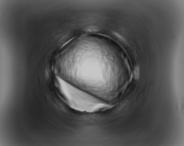 X0000086101444200704132137