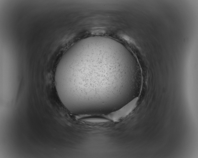 X0000086101445200704132137