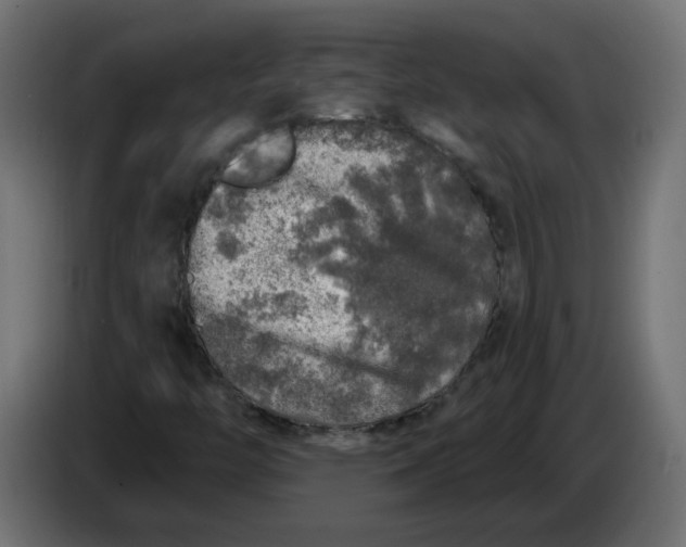X0000086101446200704132137