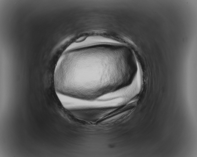 X0000086101448200704132137