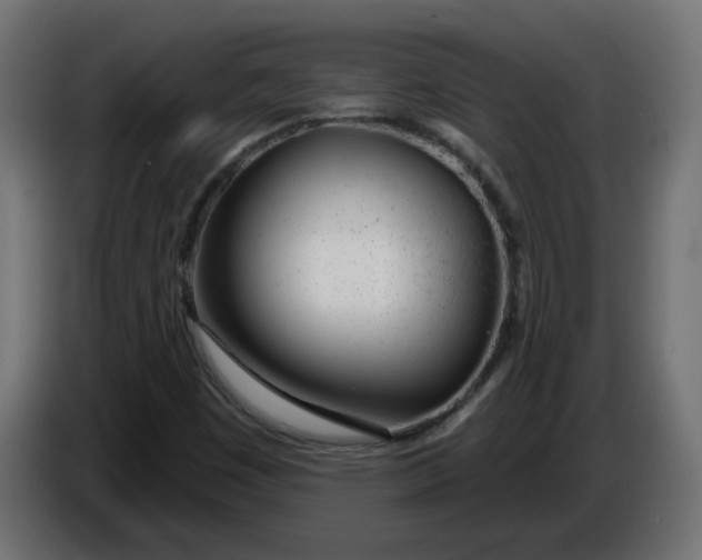 X0000086101449200704132137