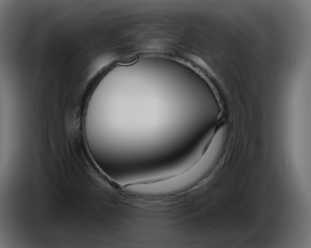 X0000086101450200704132137