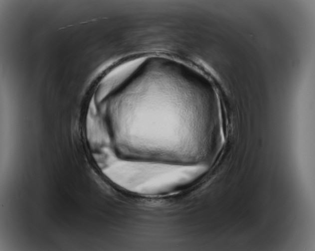 X0000086101452200704132137