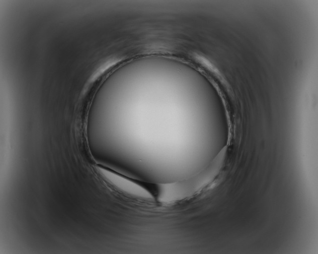 X0000086101453200704132137