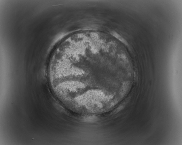 X0000086101454200704132137