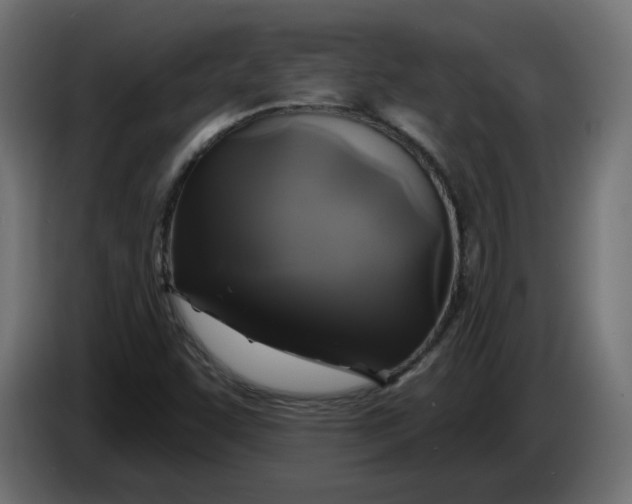 X0000086101455200704132137