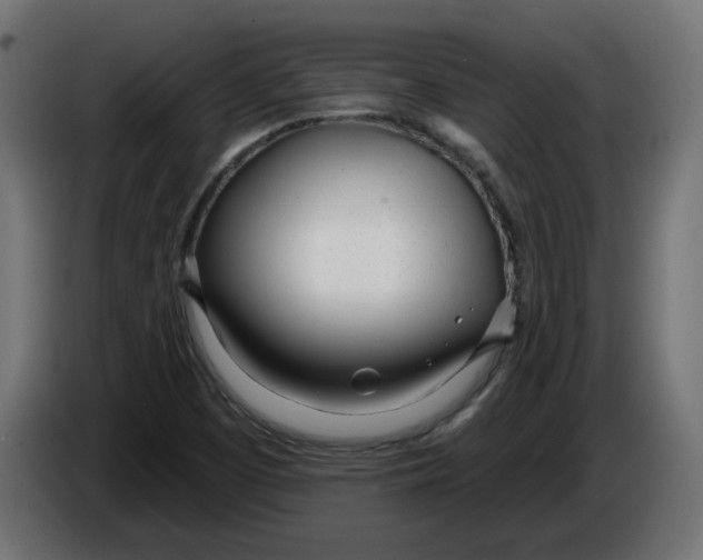 X0000086101457200704132137