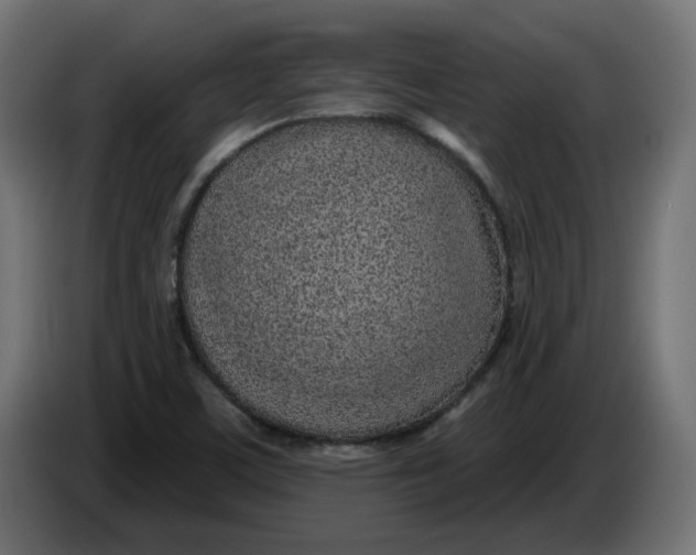 X0000086101459200704132137