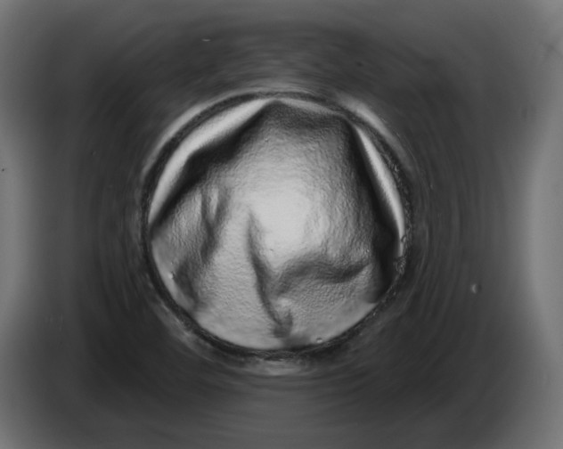 X0000086101460200704132137