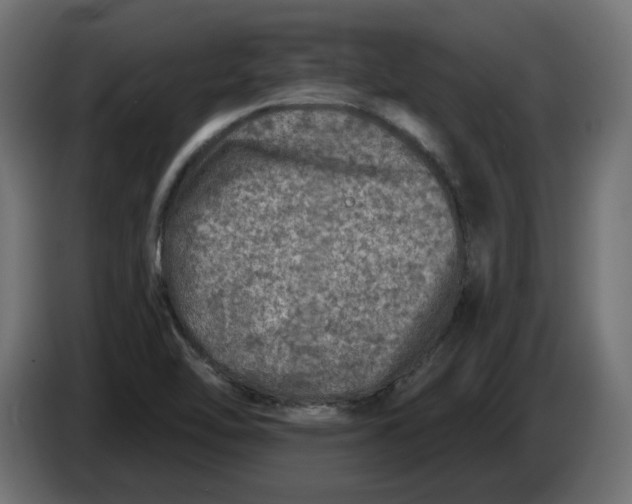 X0000086101462200704132137