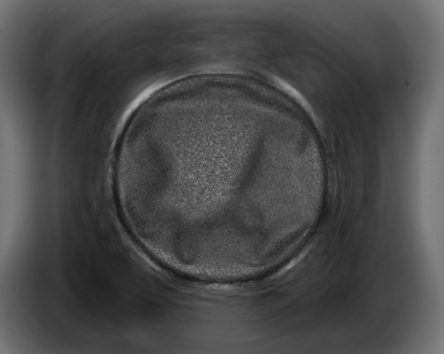X0000086101463200704132137