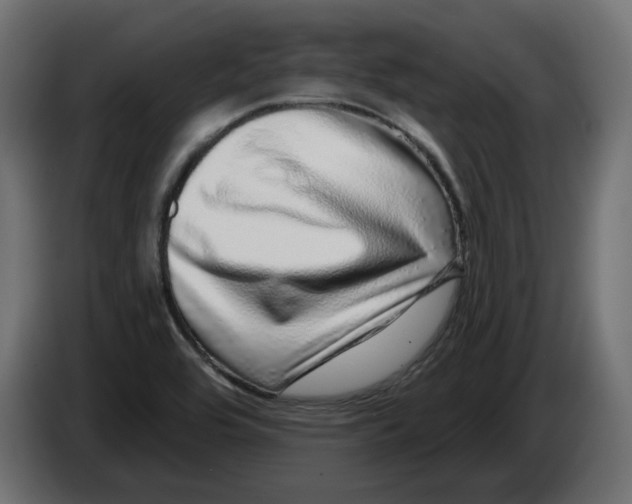 X0000086101464200704132137